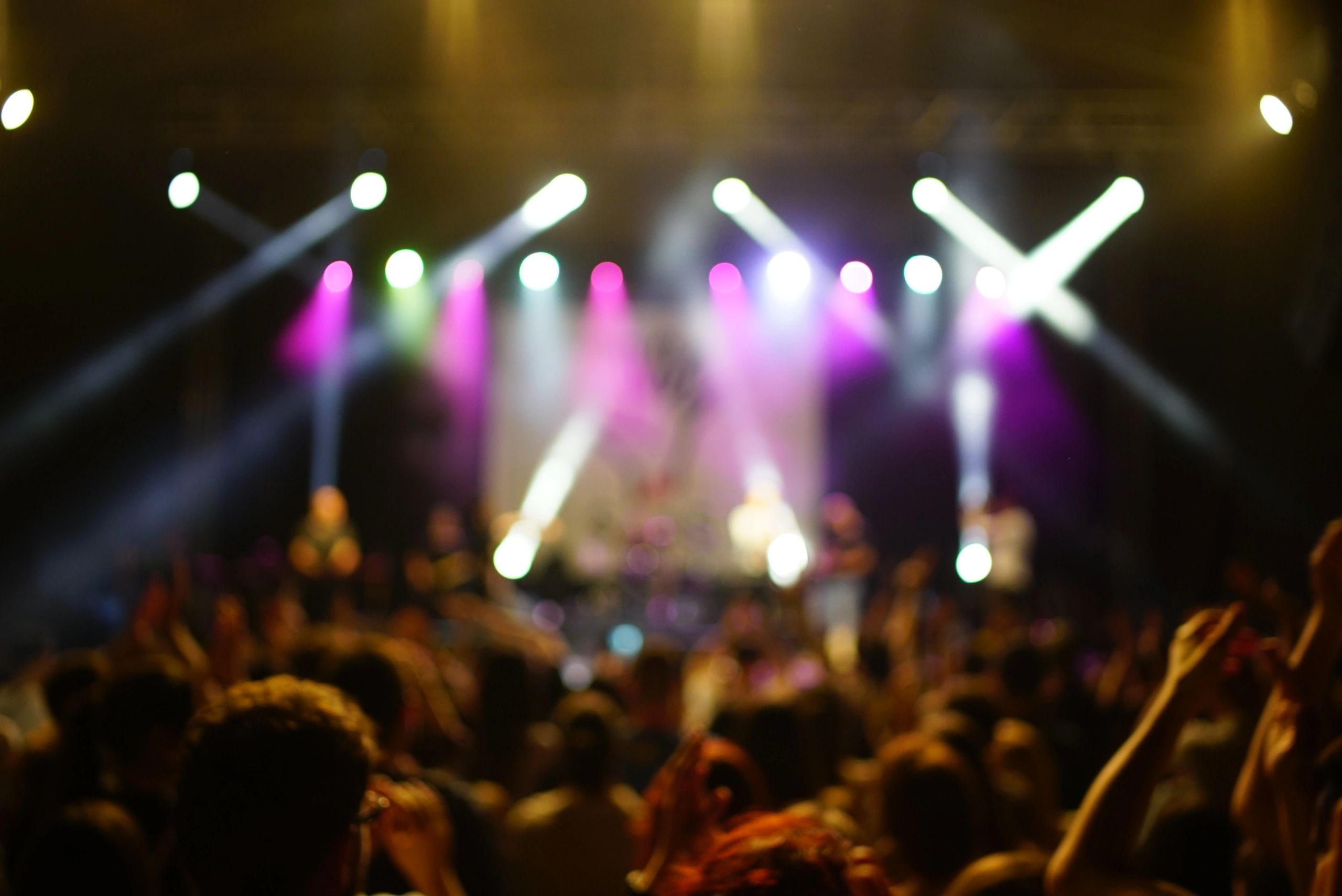 Silhouette of a cheering concert crowd in front of a lit stage